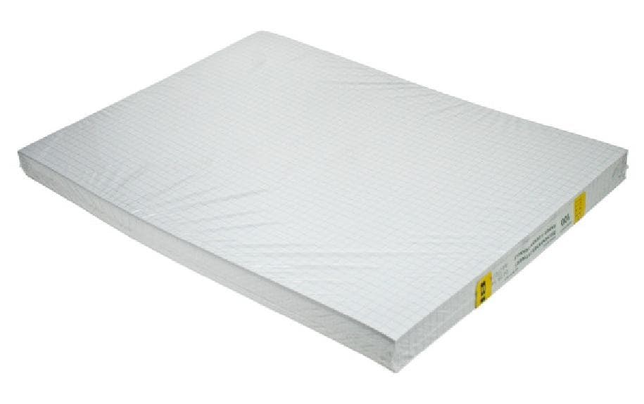 ingold-biwa Papier à dessin A4, quadrillé, 100 feuilles