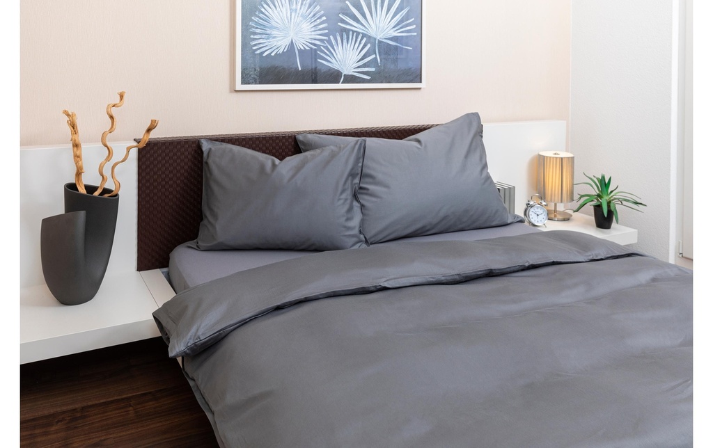 Ubiquiti Gâche électrique fail-safe Argenté