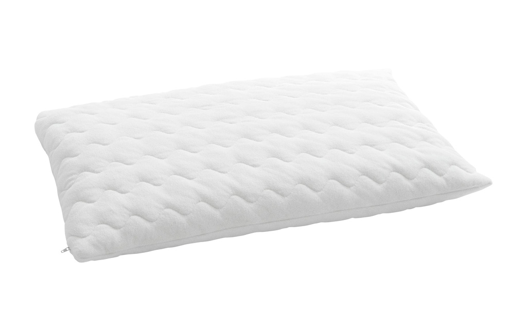 Billerbeck Oreiller classique 100 IHF Millet, 50 x 70 cm